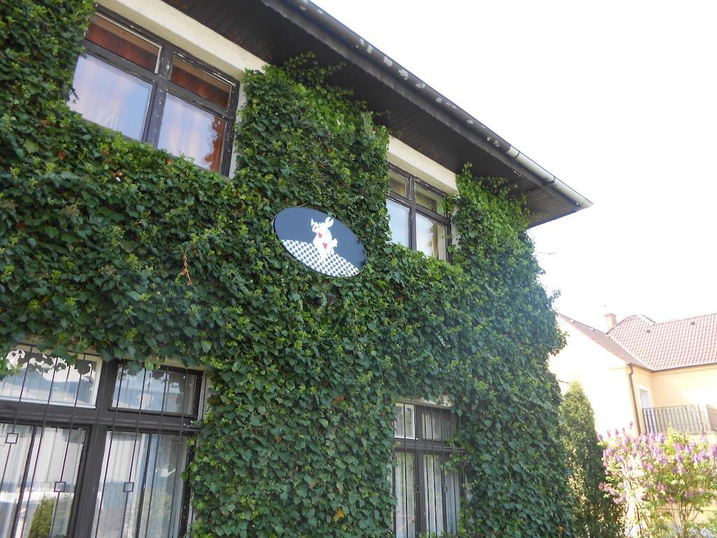 White Rabbit Hall Hotel Podebrady Exterior photo